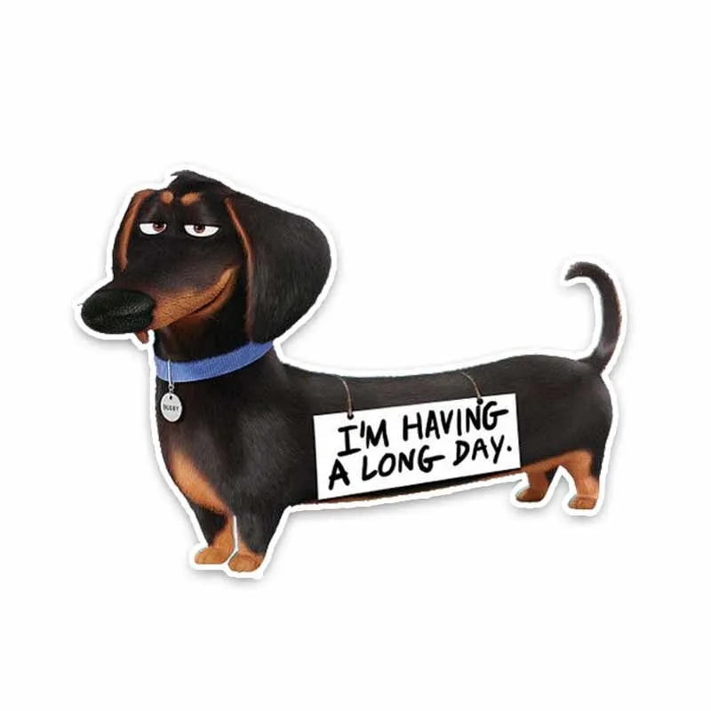 Funny Decal The Ssecret Llife of A Pet Dog PVC High Quality Car Sticker Automobile Decoration,15cm*11cm
Funny Decal The Ssecret Llife of A Pet Dog PVC High Quality Car Sticker Automobile Decoration,15cm*11cm
