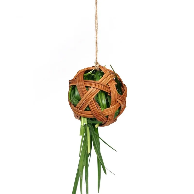 Bunny Toys Hamster Molar Grass Ball Hanging Grass Rack Apple Branch Pet Supplies Decorative Accessories
Bunny Toys Hamster Molar Grass Ball Hanging Grass Rack Apple Branch Pet Supplies Decorative Accessories