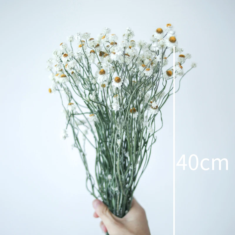 Real Immortal Daisy Flower Arrangement 40cm Preserved Dried Floral Bouquet Lovely Creative Home Wedding Newyear Art Decoration
Real Immortal Daisy Flower Arrangement 40cm Preserved Dried Floral Bouquet Lovely Creative Home Wedding Newyear Art Decoration