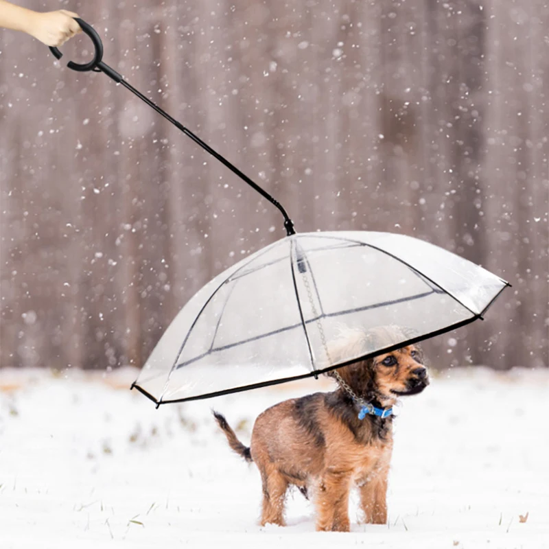 Pet Umbrella With Leash Transparent Folding Puppy Umbrella Provides Protection from Wet Weather For Pet TS1
Pet Umbrella With Leash Transparent Folding Puppy Umbrella Provides Protection from Wet Weather For Pet TS1