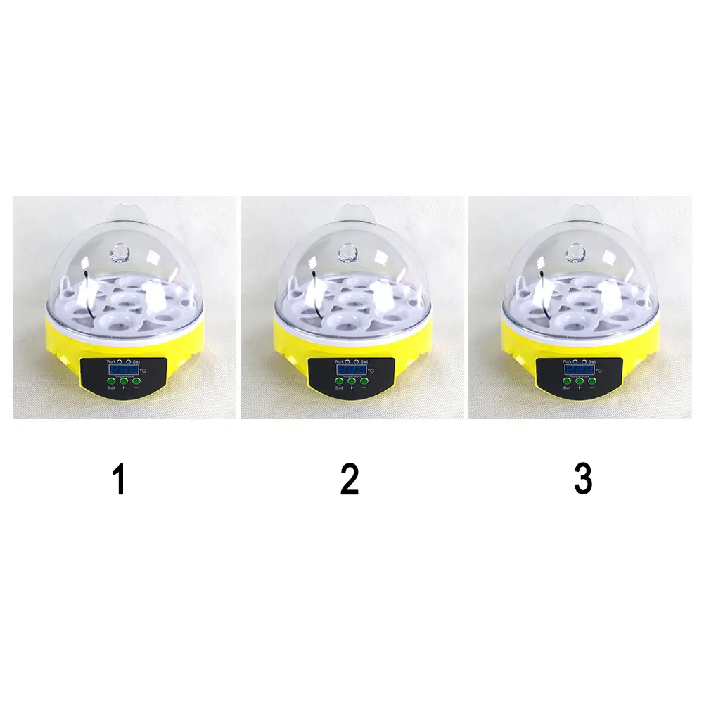 Automatic 7 Eggs Turning Incubator Temperature Control Pigeon Chicken Hatcher
Automatic 7 Eggs Turning Incubator Temperature Control Pigeon Chicken Hatcher