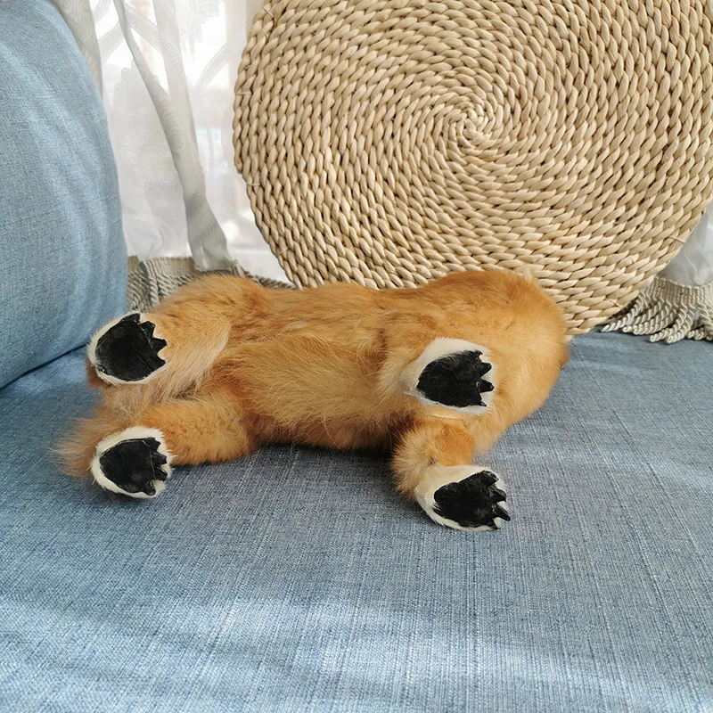 Simulation Fox Terrier Doll Cute Puppy Doll Pet Dog Animal Model Creative Home Decoration Children's Education Cognition
Simulation Fox Terrier Doll Cute Puppy Doll Pet Dog Animal Model Creative Home Decoration Children's Education Cognition