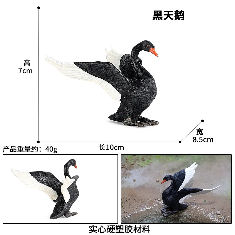 new Collection Simulation animal model solid poultry ranch geese black swan white swan children's toy scene decoration
new Collection Simulation animal model solid poultry ranch geese black swan white swan children's toy scene decoration