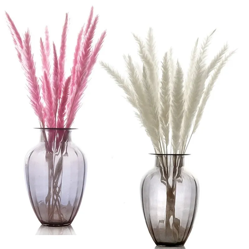 15pcs 3 Color Available Raw Pink White Small Reed Natural Dired Flowers Bulrush Phragmites Pampas Grass Wedding Party Home Decor
15pcs 3 Color Available Raw Pink White Small Reed Natural Dired Flowers Bulrush Phragmites Pampas Grass Wedding Party Home Decor