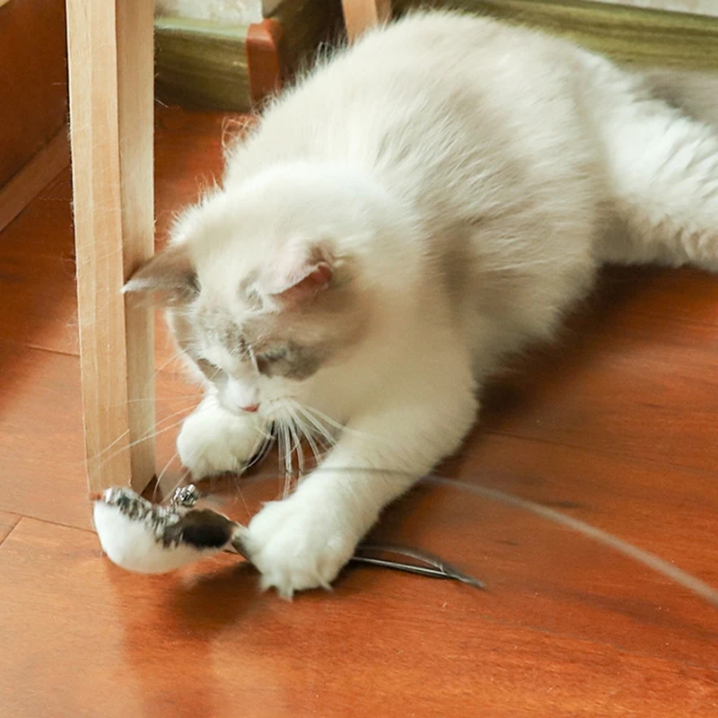 Simulation Bird interactive Cat Toy Puzzle Training Games Elasticity Funny Play Make Your Cat Healthier Correct Training 
Simulation Bird interactive Cat Toy Puzzle Training Games Elasticity Funny Play Make Your Cat Healthier Correct Training