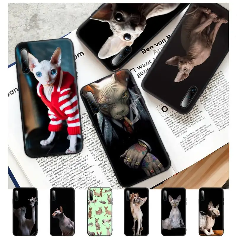 Sphynx Sphinx Cat Phone Case Samsung A51 A71 A72 A52 A50 A31 A10 A40 A70 A30 S A20 E A11 A01 A21 Silicone Cover
Sphynx Sphinx Cat Phone Case Samsung A51 A71 A72 A52 A50 A31 A10 A40 A70 A30 S A20 E A11 A01 A21 Silicone Cover