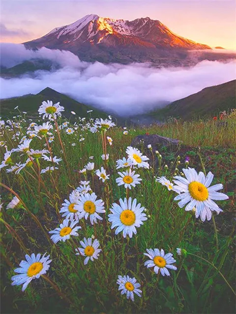 Diamond Painting White Flower 5d Diy Mosaic Full Square Round Drill Diamant Of Rhinestone Daimond Embroidery Pictures
Diamond Painting White Flower 5d Diy Mosaic Full Square Round Drill Diamant Of Rhinestone Daimond Embroidery Pictures