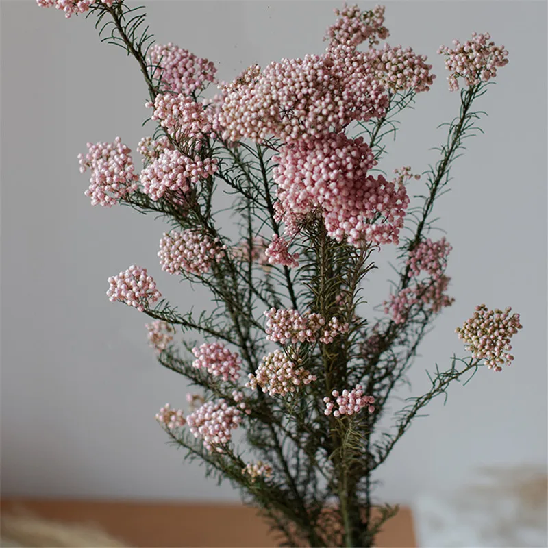 50G Natural Dried Immortal Millet Flower Pink Ramillete Flores Eternell Millet Flower Bouquet For Home Decor Free Shippin
50G Natural Dried Immortal Millet Flower Pink Ramillete Flores Eternell Millet Flower Bouquet For Home Decor Free Shippin