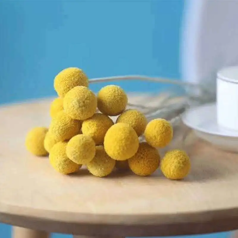 Natural Dried Craspedia Billy Balls Golden Orbs Yellow Preserved Flowers Home Office Wedding Partry Decoration Table Accessories
Natural Dried Craspedia Billy Balls Golden Orbs Yellow Preserved Flowers Home Office Wedding Partry Decoration Table Accessories