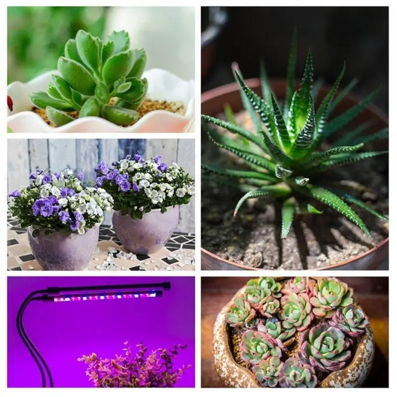Led Grow Light Plants Growth Light Plant Lamp Full Spectrum USB High Brightness Energy Saving Eco-Friendly Indoor Hydroponic
Led Grow Light Plants Growth Light Plant Lamp Full Spectrum USB High Brightness Energy Saving Eco-Friendly Indoor Hydroponic