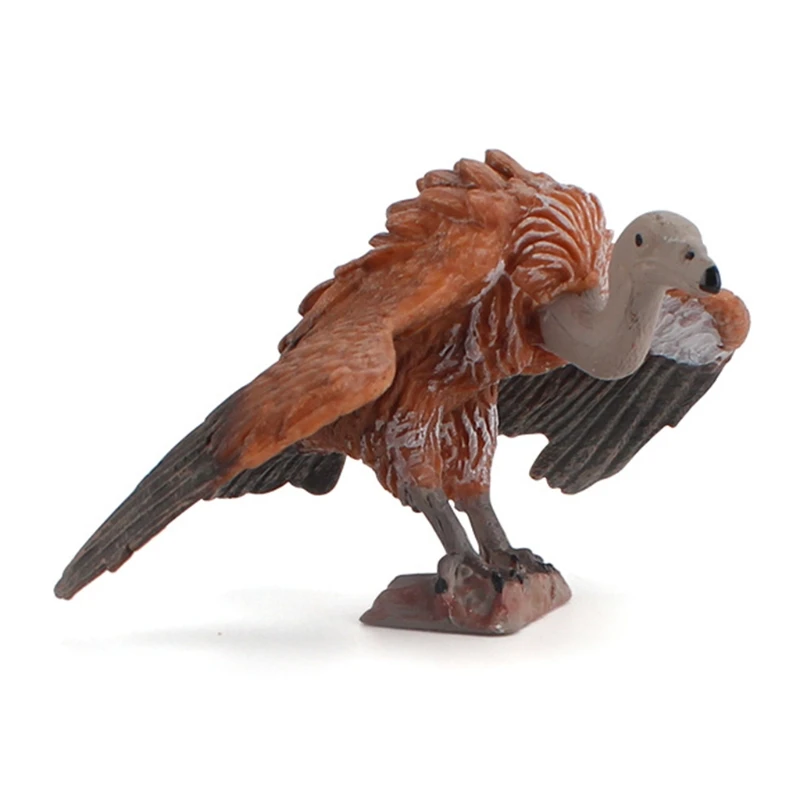 

Simulated Bald Eagle Owl Model Realistic Bird Figurines Action Figure For Collection Science Educational Children Kids Gift