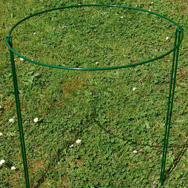 4 Pcs Plant Support Stakes Half Round Metal Ring Cage for Garden Flower Potted SEC88
4 Pcs Plant Support Stakes Half Round Metal Ring Cage for Garden Flower Potted SEC88