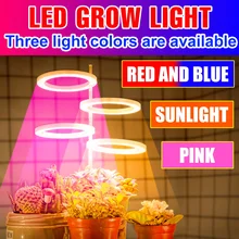 LED 전체 스펙트럼 Phyto 빛 성장 램프 5V 수경 전구 1 2 3 4 머리 실내 Led 식물 램프 USB 꽃 모 종 빛 성장 텐트