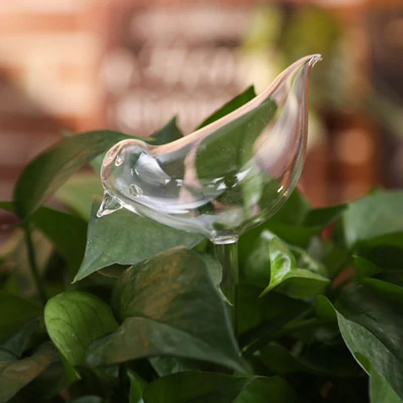 Newly Cute Automatic Flower Watering Device Glass Self-Watering Stakes Plant Glass Waterer Automatic Irrigation Water Globe FIF6
Newly Cute Automatic Flower Watering Device Glass Self-Watering Stakes Plant Glass Waterer Automatic Irrigation Water Globe FIF6