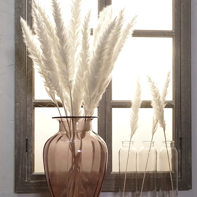 15Pcs Createive Elegant Dried Small Pampas Grass Phragmites Decor Supplies Home Store Wedding Garden Decoration 60cm
15Pcs Createive Elegant Dried Small Pampas Grass Phragmites Decor Supplies Home Store Wedding Garden Decoration 60cm