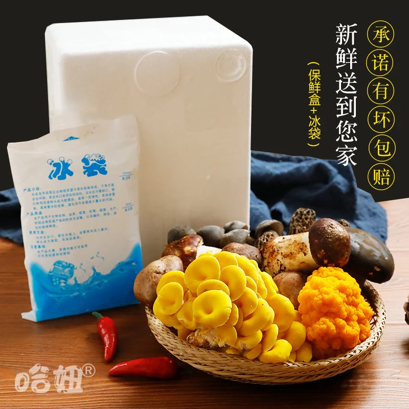 The girl fresh mushroom chicken combination of yunnan wild fungus porcini morels tricholoma matsutake
The girl fresh mushroom chicken combination of yunnan wild fungus porcini morels tricholoma matsutake