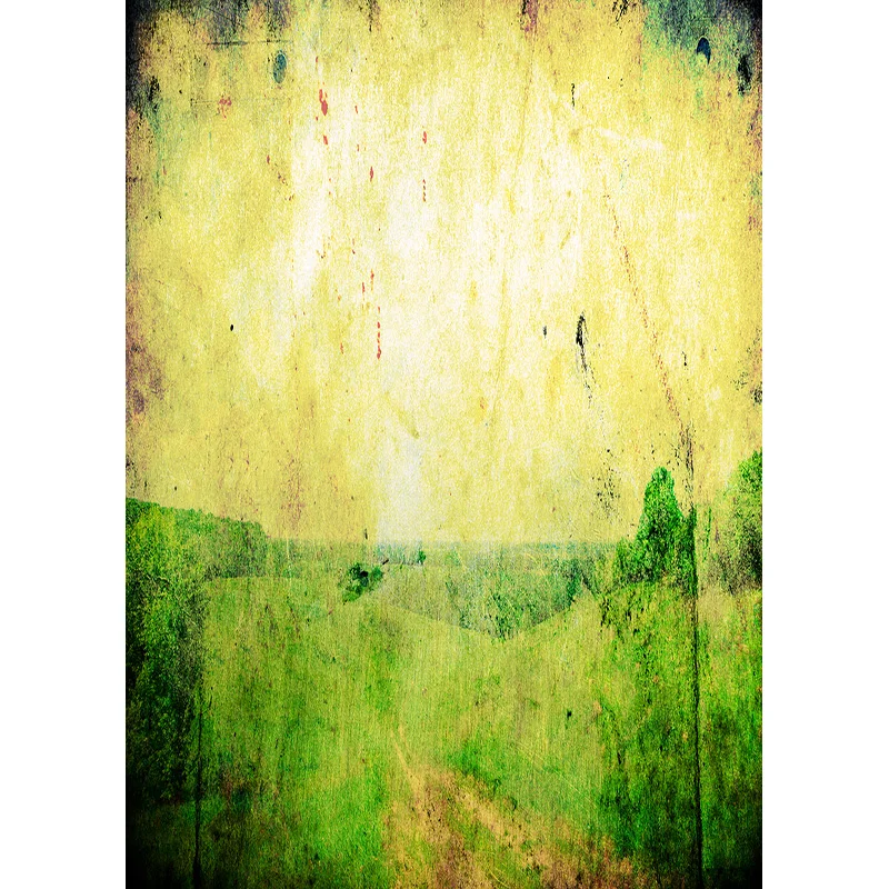 ZHISUXI Vinyl Vintage Hand Painted Photography Backdrops Props Texture Grunge Portrait Studio Background 201211GFH-02
ZHISUXI Vinyl Vintage Hand Painted Photography Backdrops Props Texture Grunge Portrait Studio Background 201211GFH-02