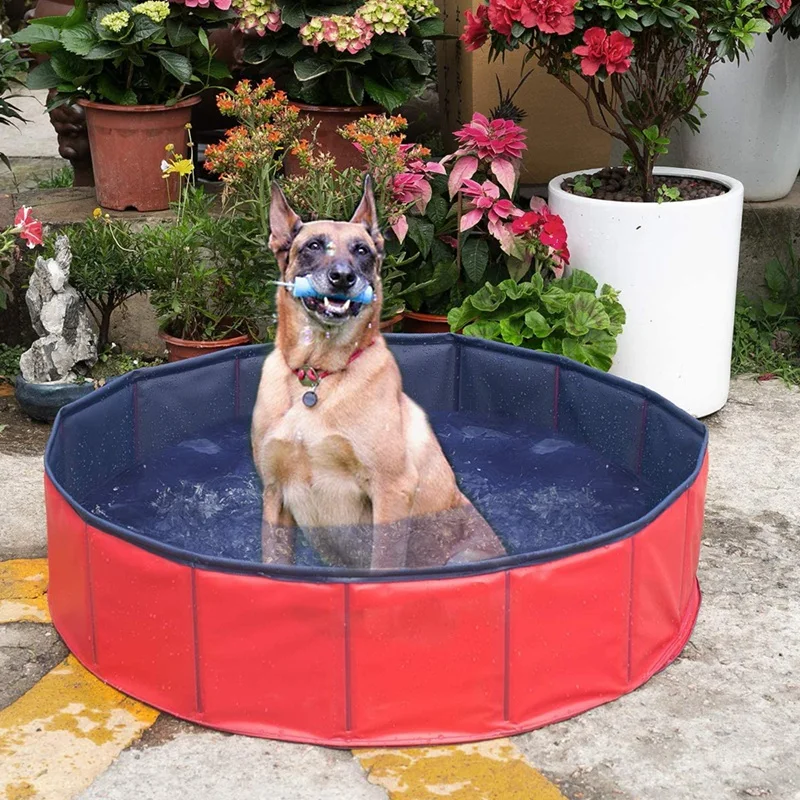 Pet Cat Dog Swimming Pool Indoor Outdoor Bathing Tub Foldable Inflate Outdoor Summer Bath 80 x 20 cm
Pet Cat Dog Swimming Pool Indoor Outdoor Bathing Tub Foldable Inflate Outdoor Summer Bath 80 x 20 cm