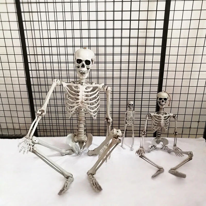 

Скелет на Хэллоуин, модель скелета на все тело, пластиковая скелетная фигура, подвижные суставы, скелет для украшения на Хэллоуин