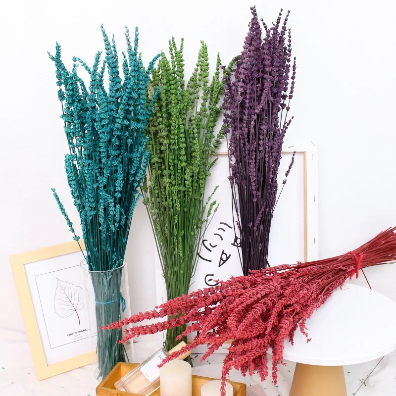 80g Natural Dried Flowers Bouquet For Home Decoration Accessories Party Floral Decorative Lavender True Flower
80g Natural Dried Flowers Bouquet For Home Decoration Accessories Party Floral Decorative Lavender True Flower
