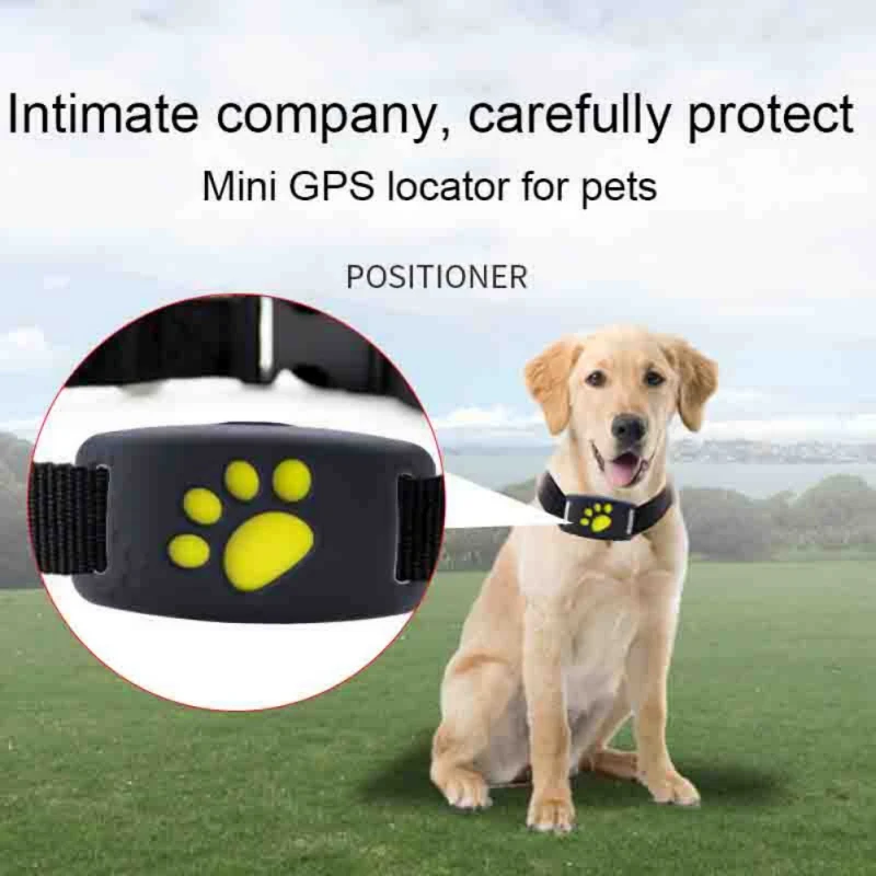 GPS-локатор для домашних животных, устройство отслеживания домашних животных для интеллектуальной мини-одежды домашних животных
GPS-локатор для домашних животных, устройство отслеживания домашних животных для интеллектуальной мини-одежды домашних животных