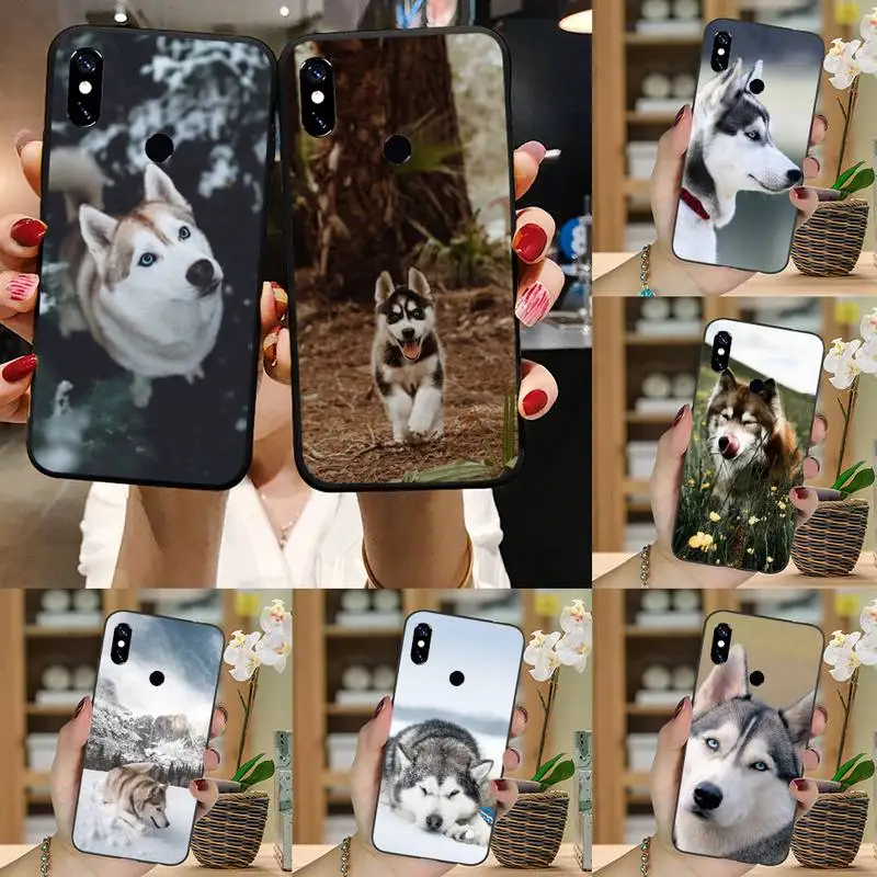 Cute husky dog animal Phone Case For Xiaomi Redmi note 7 8 9 t max3 s 10 pro lite coque cover funda shell
Cute husky dog animal Phone Case For Xiaomi Redmi note 7 8 9 t max3 s 10 pro lite coque cover funda shell
