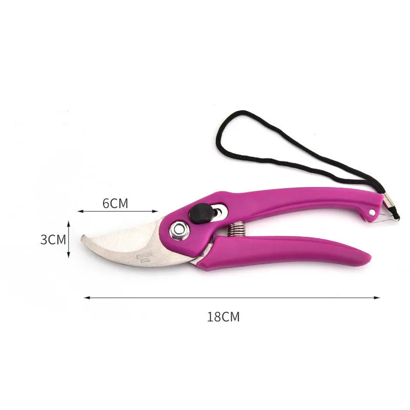ZK30 Plant Trim Horticulture Hand Pruner Cut Secateur Shrub Garden Scissor Anvil Branch Shear Orchard Pruning Shear Hand Tools
ZK30 Plant Trim Horticulture Hand Pruner Cut Secateur Shrub Garden Scissor Anvil Branch Shear Orchard Pruning Shear Hand Tools