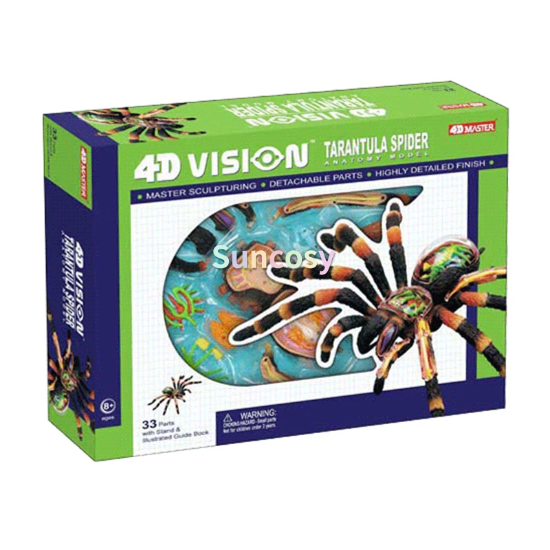 Модель анатомии паука 4D Vision набор для сборки животных медицинская обучающая