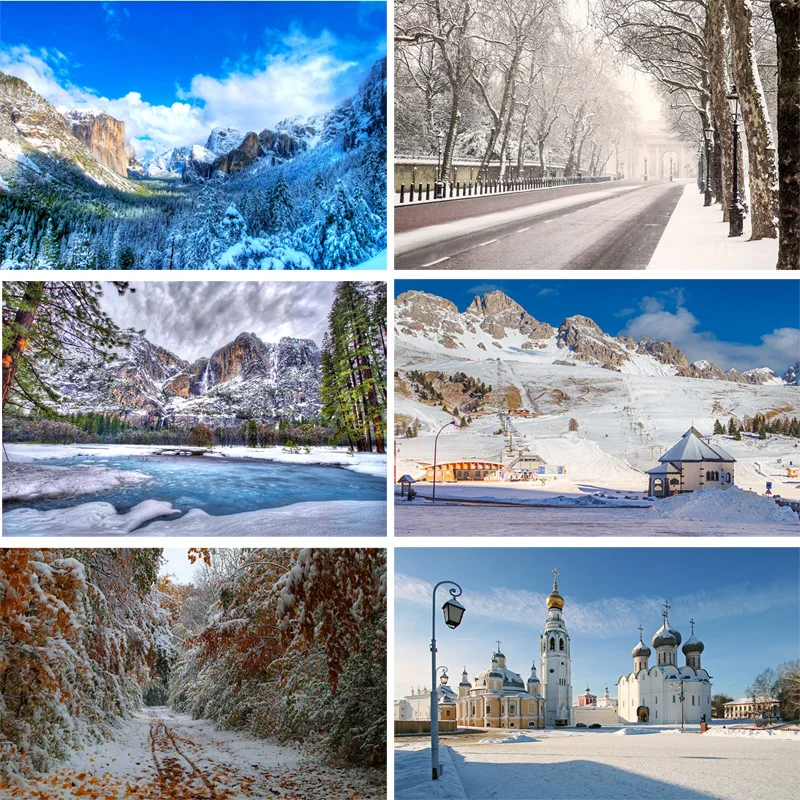 SHENGYONGBAO Vinyl Custom Photography Backdrops Prop Winter landscape Photography Background 200309HD-011
SHENGYONGBAO Vinyl Custom Photography Backdrops Prop Winter landscape Photography Background 200309HD-011