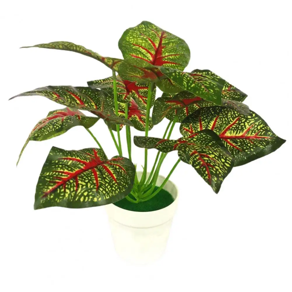 New Artificial Fake Green Bonsai Flowers Ornaments Wedding Party Decoration Potted Plants DIY Photo Props Fake Flower Home Decor
New Artificial Fake Green Bonsai Flowers Ornaments Wedding Party Decoration Potted Plants DIY Photo Props Fake Flower Home Decor