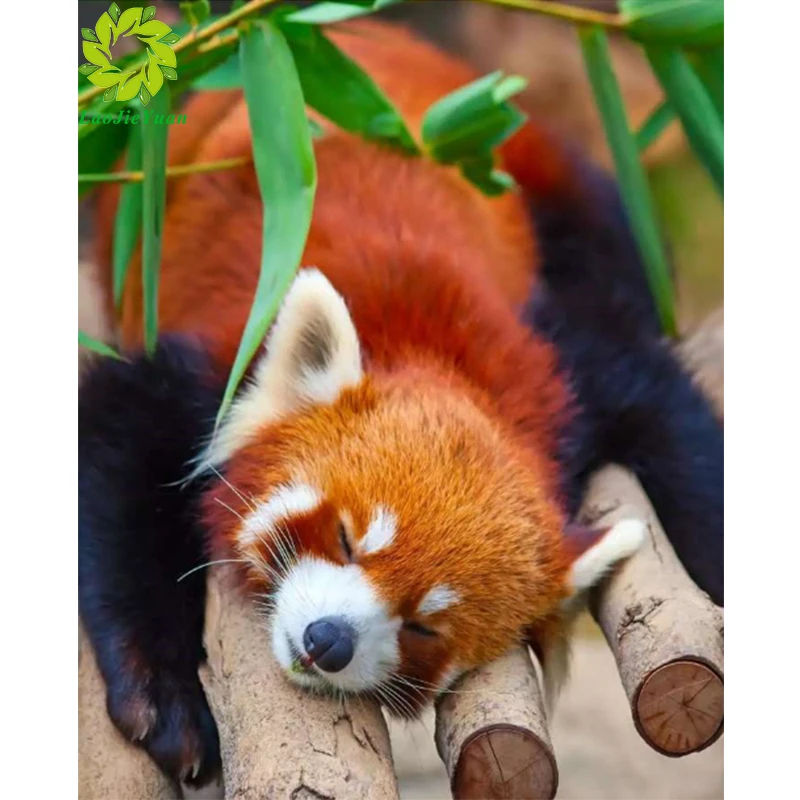 Алмазная картина, полная дрель, животные, Новое поступление, алмазная вышивка для украшения дома, вышивка крестиком, Алмазная мозаика, ручна... 
Алмазная картина, полная дрель, животные, Новое поступление, алмазная вышивка для украшения дома, вышивка крестиком, Алмазная мозаика, ручна...