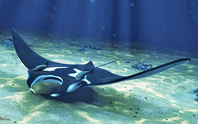 Эмалированная булавка Manta Ray брошь в виде морских животных волнистый дьявол рыба