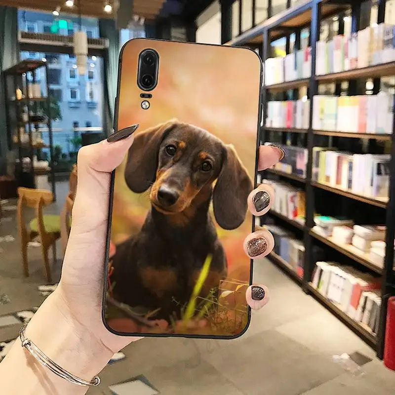 Dachshund pet dog Cute animal Phone Case For Huawei honor Mate P 10 20 30 40 Pro 10i 9 10 20 8 x Lite
Dachshund pet dog Cute animal Phone Case For Huawei honor Mate P 10 20 30 40 Pro 10i 9 10 20 8 x Lite