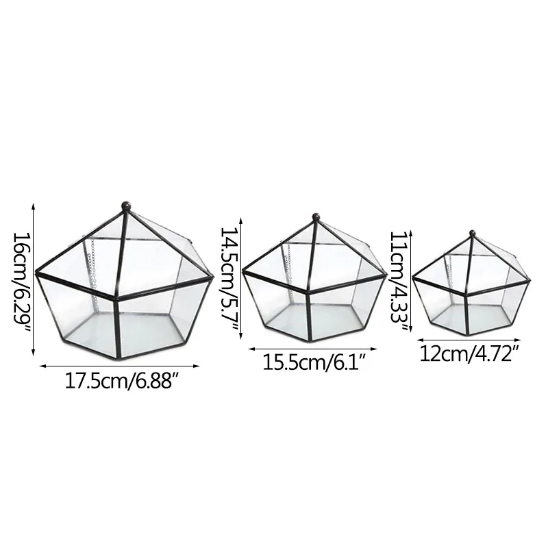 Home Decors Creative Transparent Glass Box Storage Ornament Multifunction Gifts Box Container Succulent Flower Pot Decorations
Home Decors Creative Transparent Glass Box Storage Ornament Multifunction Gifts Box Container Succulent Flower Pot Decorations