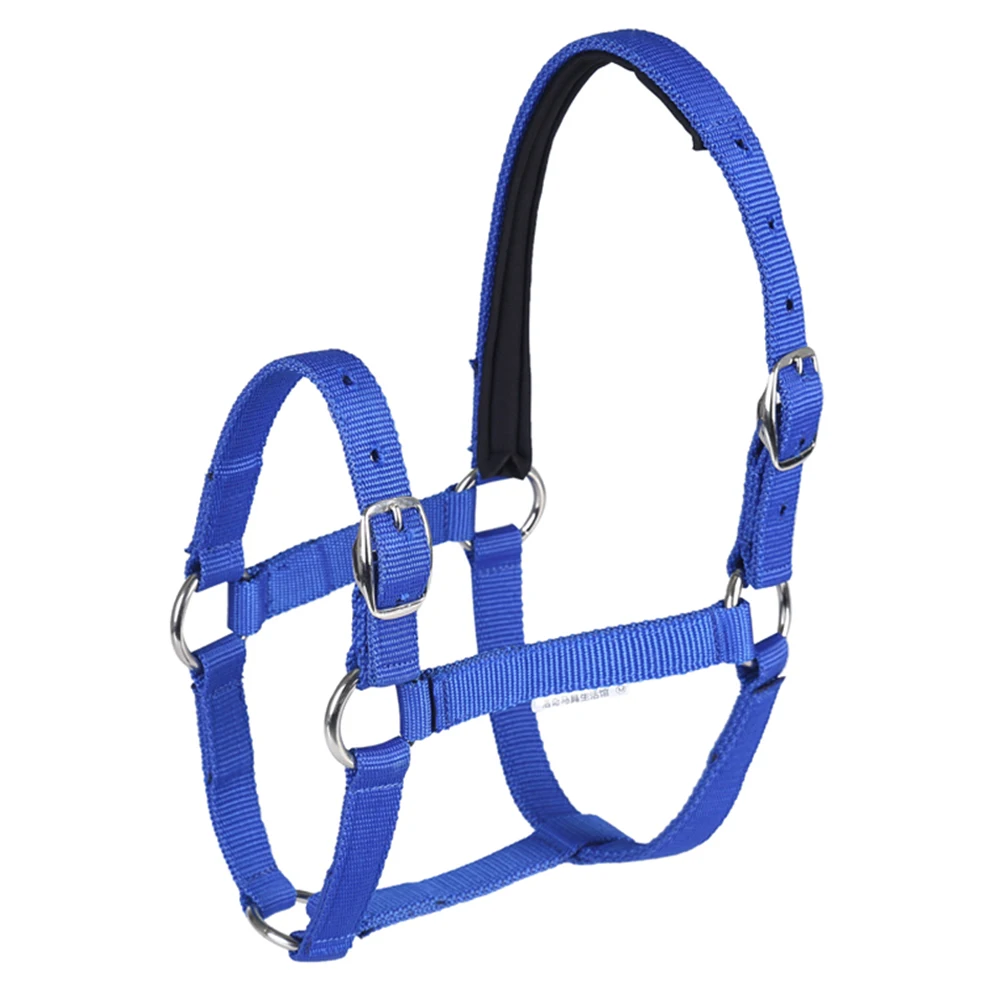 Riding Racing Equipment Training Rope Horse Head Collar Adjustable Riding Safety Halter Belts Equestrian Equipment
Riding Racing Equipment Training Rope Horse Head Collar Adjustable Riding Safety Halter Belts Equestrian Equipment
