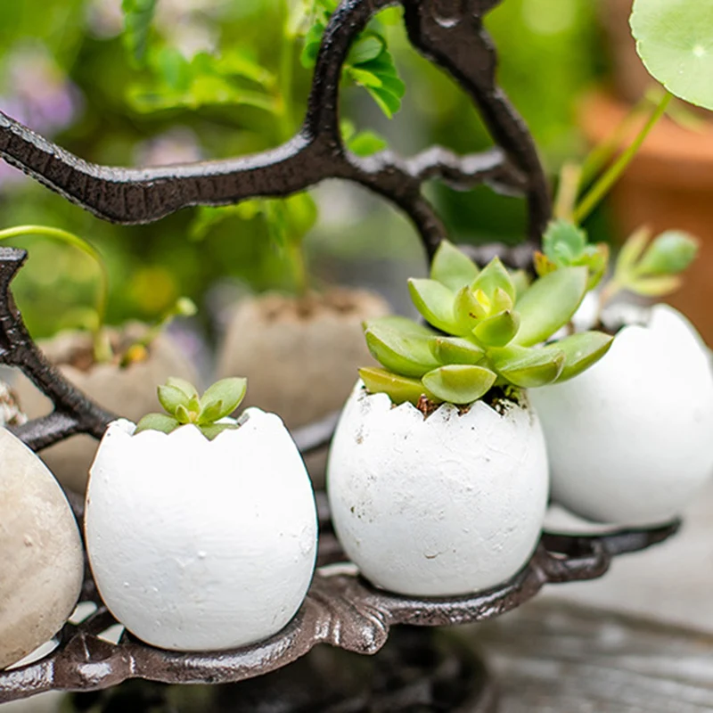 Newly Heavy Duty Retro Cast Iron Eggs Holder Countertop Decor Kitchen & Dining Room Organization Egg Stroage Display Rack TE889 
Newly Heavy Duty Retro Cast Iron Eggs Holder Countertop Decor Kitchen & Dining Room Organization Egg Stroage Display Rack TE889