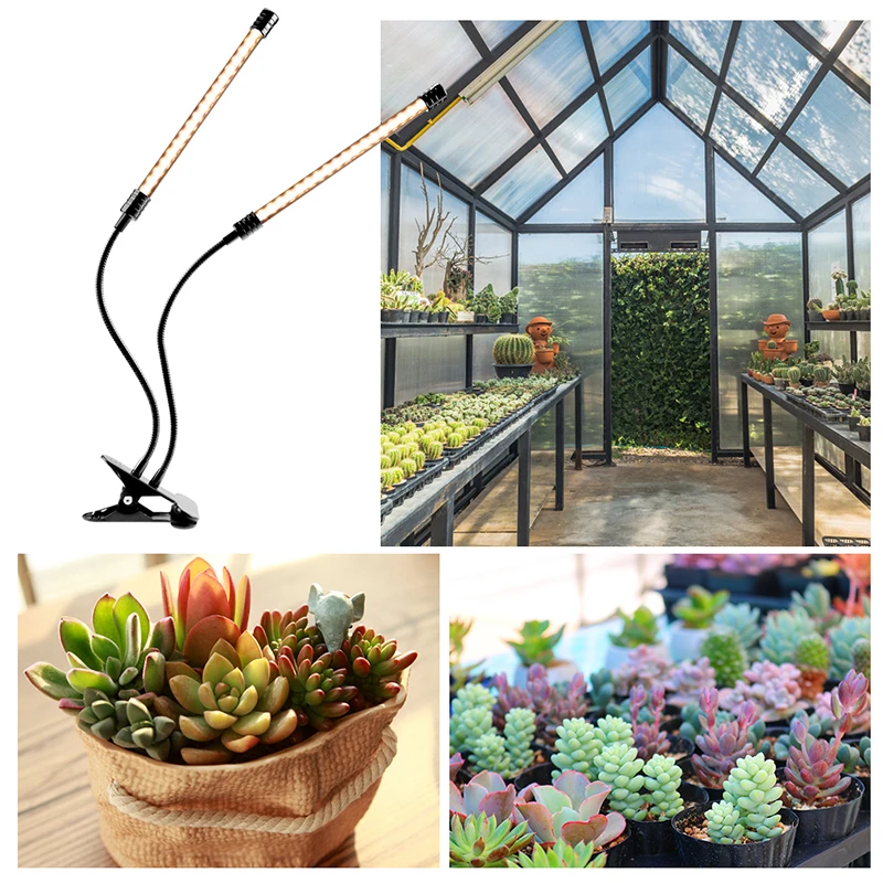 Led Plant Grow Light Usb Phyto Lamp Full Spectrum Fitolampy With Control For Plants Seedlings Flower Indoor Fitolamp Grow Box
Led Plant Grow Light Usb Phyto Lamp Full Spectrum Fitolampy With Control For Plants Seedlings Flower Indoor Fitolamp Grow Box
