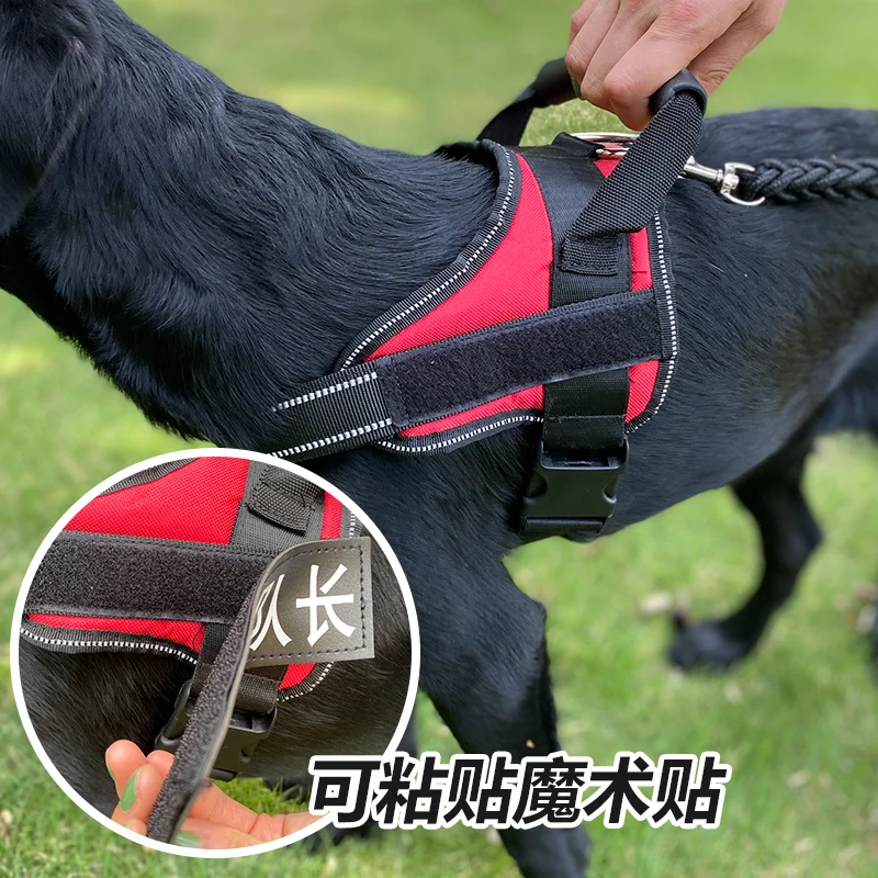 Reflective Dog Harness Leash Set Pet Vest Lead For Small Meduim Large Dogs Daily Training Walking XS-L
Reflective Dog Harness Leash Set Pet Vest Lead For Small Meduim Large Dogs Daily Training Walking XS-L