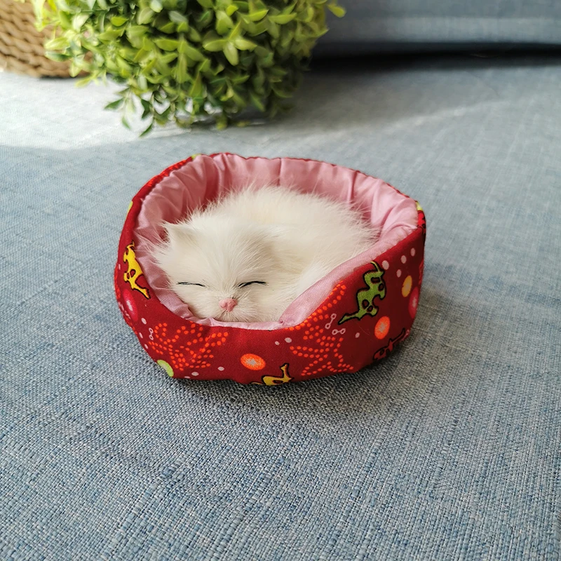 Realistic Mini Sleeping Cat Toy For Kids Lifelike Kitten Doll Home Furnishings Decoration Ornament Early Education Cognition
Realistic Mini Sleeping Cat Toy For Kids Lifelike Kitten Doll Home Furnishings Decoration Ornament Early Education Cognition
