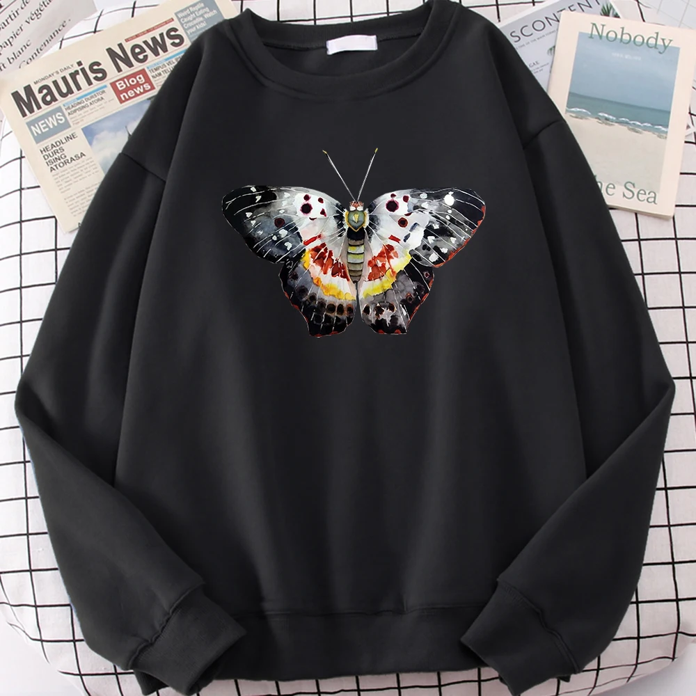 Males Sweatshirts Butterflies With Lots Of Colors Printed Long Sleeve Men Women Oversized Casual Fashion Moletom Animal Clothes
Males Sweatshirts Butterflies With Lots Of Colors Printed Long Sleeve Men Women Oversized Casual Fashion Moletom Animal Clothes