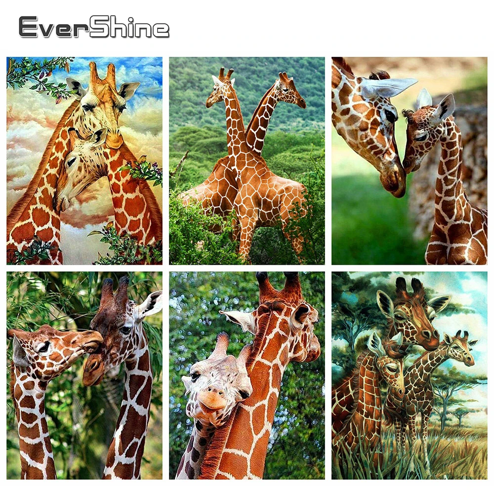 Evershine 5D DIY Алмазная вышивка жираф полная площадь Алмазная мозаика животные стразы для рукоделия декор для дома
Evershine 5D DIY Алмазная вышивка жираф полная площадь Алмазная мозаика животные стразы для рукоделия декор для дома