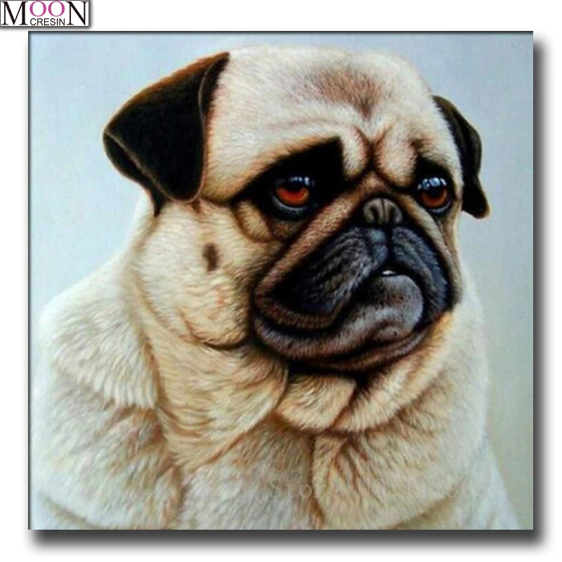 Animals 5D DIY Diamond Painting Fat Dog Full Square/Round Drill Embroidery Cross Stitch Rhinestone Mosaic Home Decor With Beads
Animals 5D DIY Diamond Painting Fat Dog Full Square/Round Drill Embroidery Cross Stitch Rhinestone Mosaic Home Decor With Beads