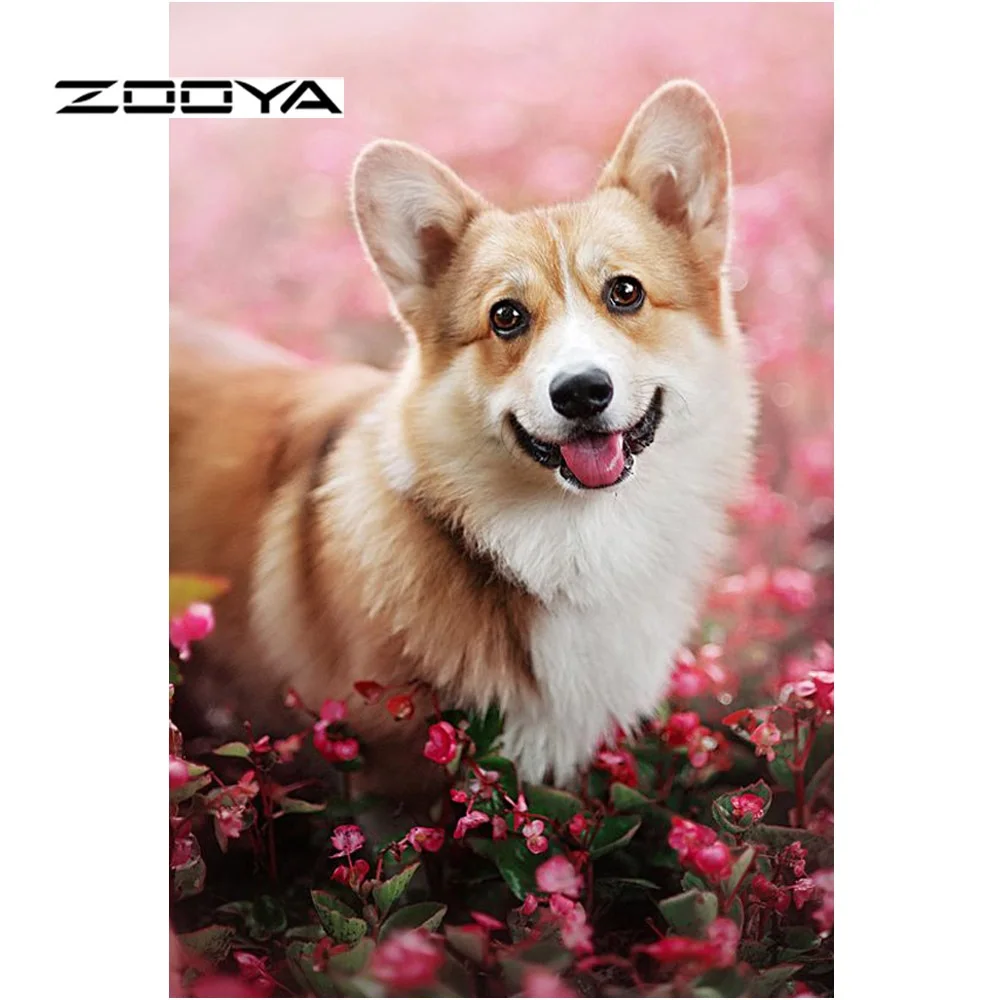 ZOOYA Алмазная картина собака полная дрель 5D алмазная вышивка распродажа мозаика