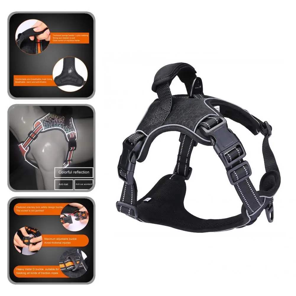 Стильный уличный жилет с пряжкой для собак и кошек, моющийся вручную
Стильный уличный жилет с пряжкой для собак и кошек, моющийся вручную