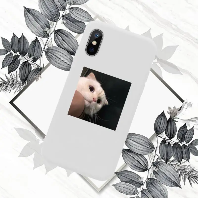 Cute cat Phone Case White Candy Color for iPhone 11 12 mini pro XS MAX 8 7 6 6S Plus X SE 2020 XR
Cute cat Phone Case White Candy Color for iPhone 11 12 mini pro XS MAX 8 7 6 6S Plus X SE 2020 XR