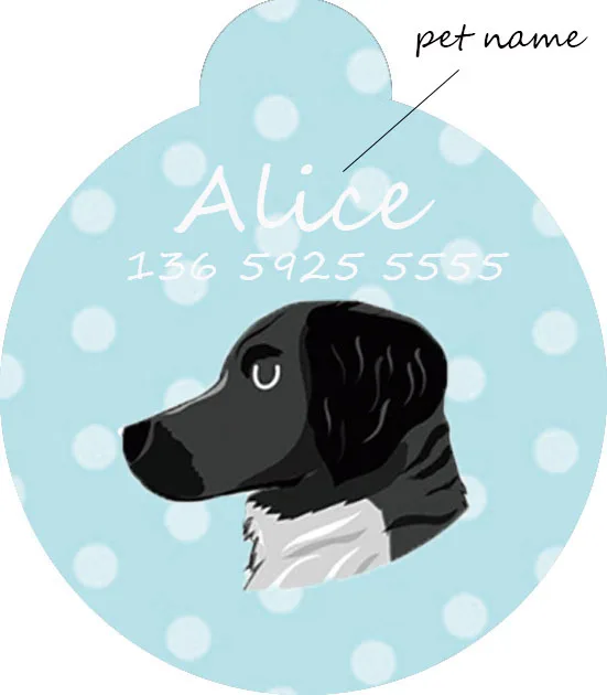 Custom pet tag collar stainless steel dog tag ID name phone puppy tag dog cat Bulldog personalized
Custom pet tag collar stainless steel dog tag ID name phone puppy tag dog cat Bulldog personalized