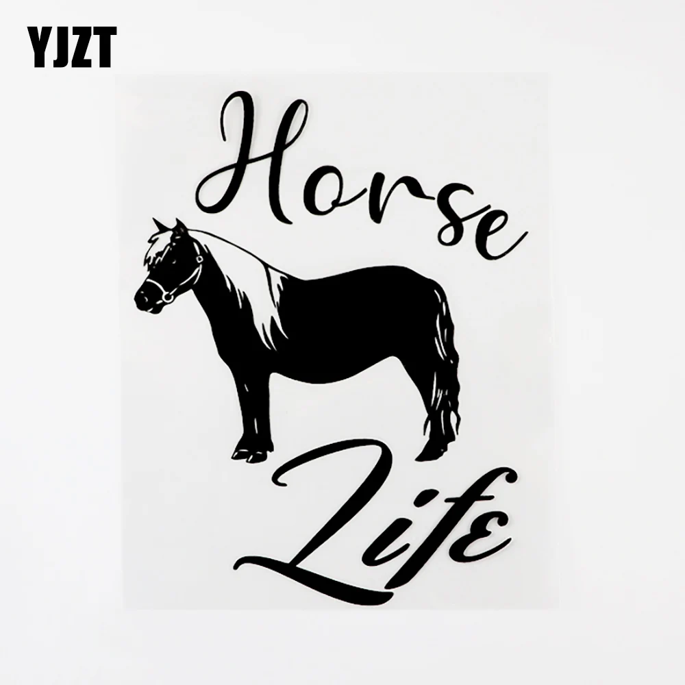 YJZT 12 см × 15,6 см личность Животное Лошадь Жизнь Наклейка виниловая наклейка на автомобиль черный/серебристый 8C-0321
YJZT 12 см × 15,6 см личность Животное Лошадь Жизнь Наклейка виниловая наклейка на автомобиль черный/серебристый 8C-0321