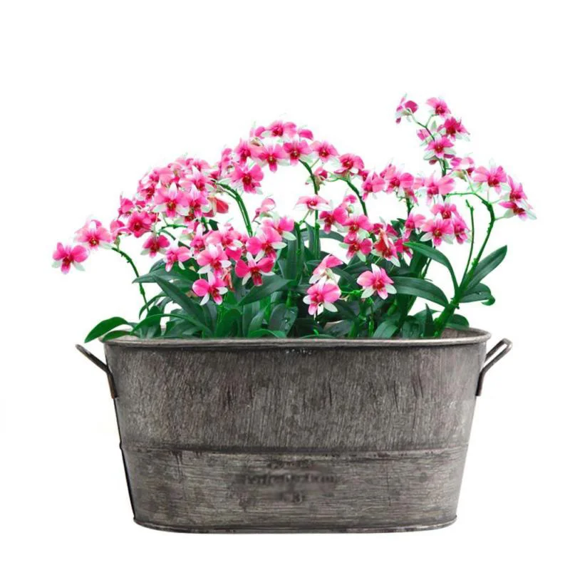 Zinc Metal Flowerpot Garden Planter Trough Flower Plant Pot Vintage Style Container Decor Home Outdoor Garden Supplies
Zinc Metal Flowerpot Garden Planter Trough Flower Plant Pot Vintage Style Container Decor Home Outdoor Garden Supplies