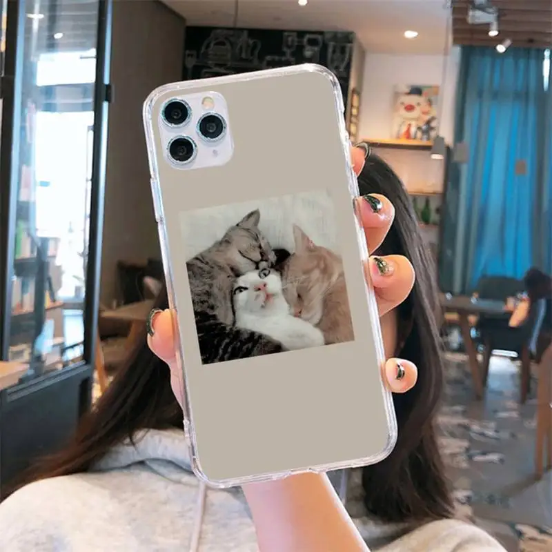 Aesthetic Cute Animal Cat Phone Case Transparent for iPhone 6 7 8 11 12 s mini pro X XS XR MAX Plus se cover funda shell
Aesthetic Cute Animal Cat Phone Case Transparent for iPhone 6 7 8 11 12 s mini pro X XS XR MAX Plus se cover funda shell