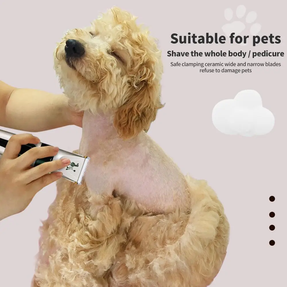 Dog Hair Clipper Stainless Steel Cat Pet Care Trim White USB Charging Security Pets Pet Shaver
Dog Hair Clipper Stainless Steel Cat Pet Care Trim White USB Charging Security Pets Pet Shaver
